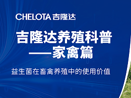 家禽免疫力低下，消化功能削弱？原因竟来自小小的益生菌！
