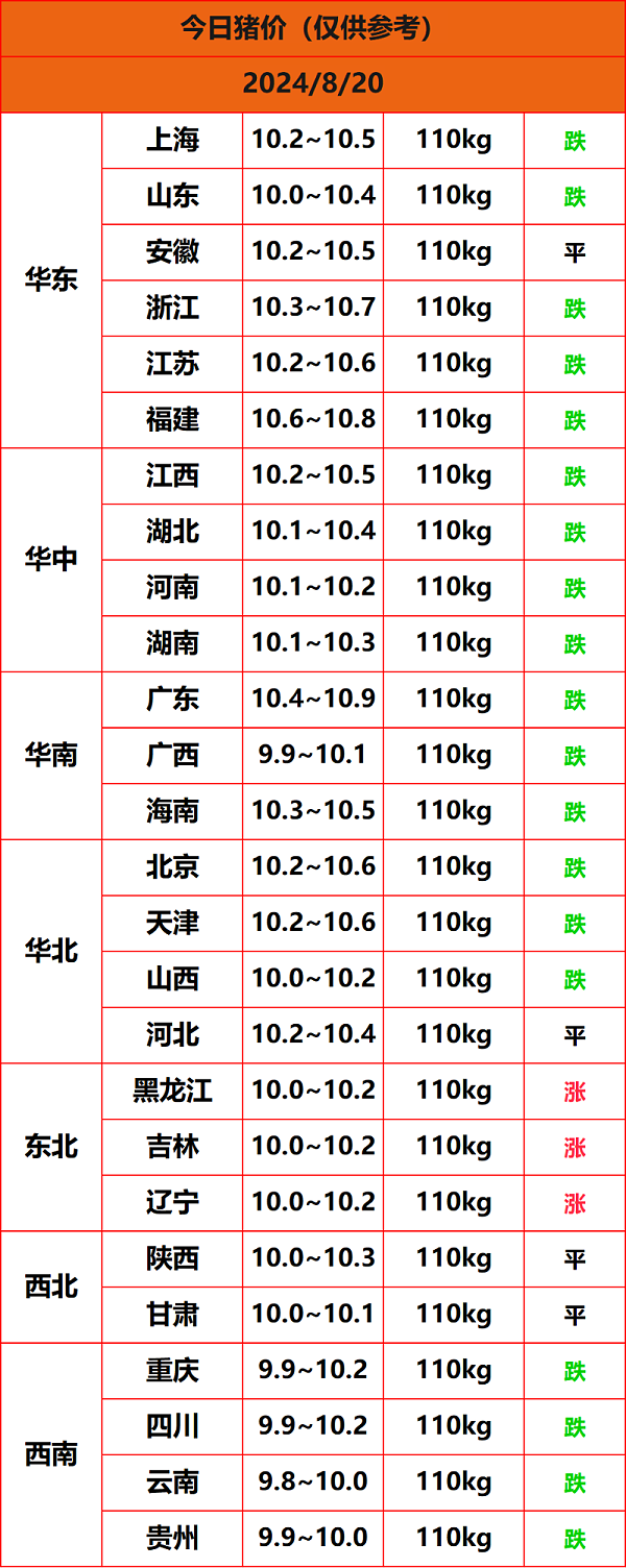 2024.8.20猪价