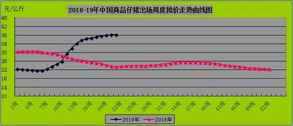 中国生猪/仔猪周度加权均价比较曲线图