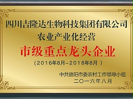 权威认证——吉隆达荣誉资质概览