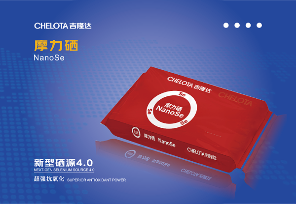 饲料工业展灯箱图确认转曲-05