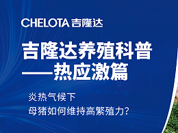 炎热气候下，母猪如何维持高繁殖力？补充以下营养元素就对了！