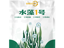 科学肥水 生态养殖——水藻1号的综合价值与使用效益