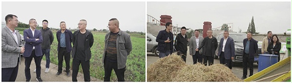 基于稻-畜种养循环的稻田绿色低碳高效生产技术集成及产业示范
