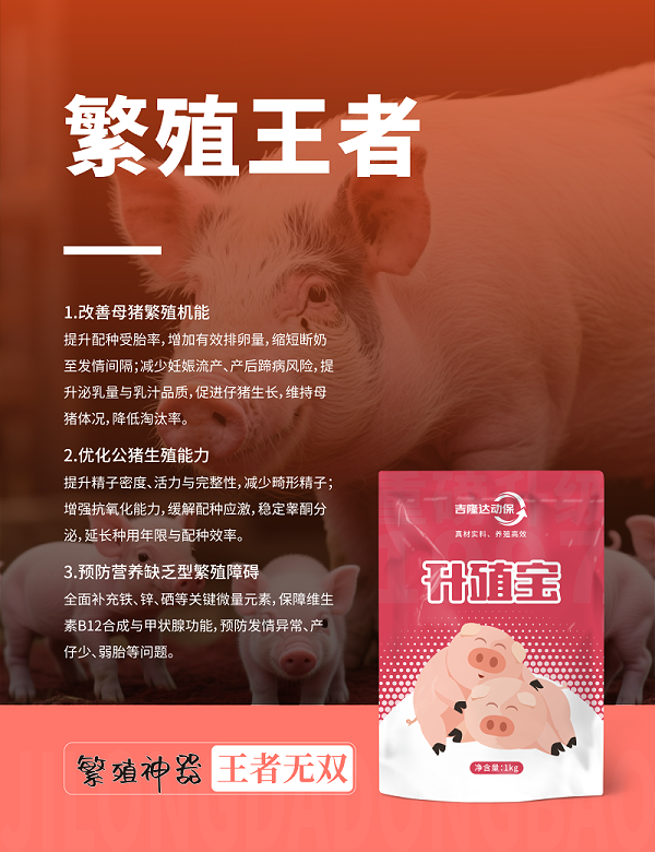 20250607产品海报-07