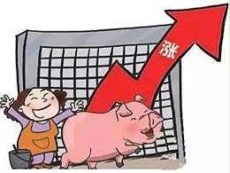 近期猪价为什么上涨？猪价上涨的原因或许是它！