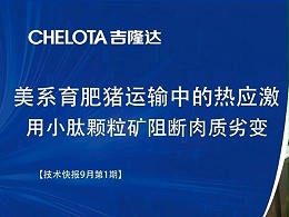 美系育肥猪运输中的热应激---用小肽颗粒矿阻断肉质劣变