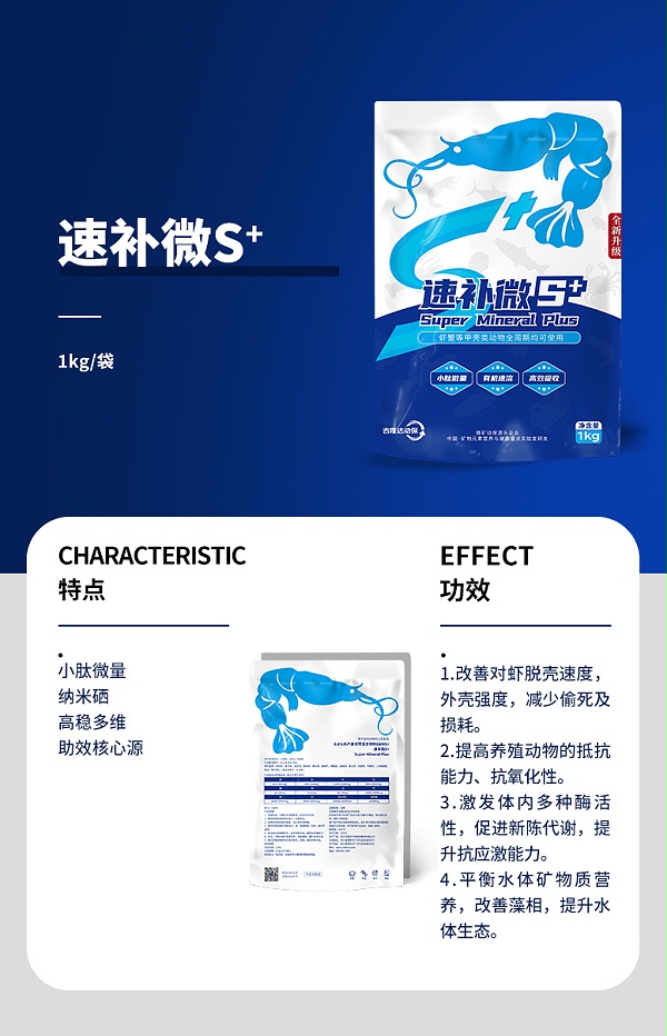 速补微S+_01