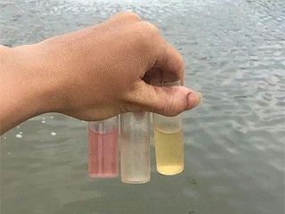 水体pH值对对虾的影响